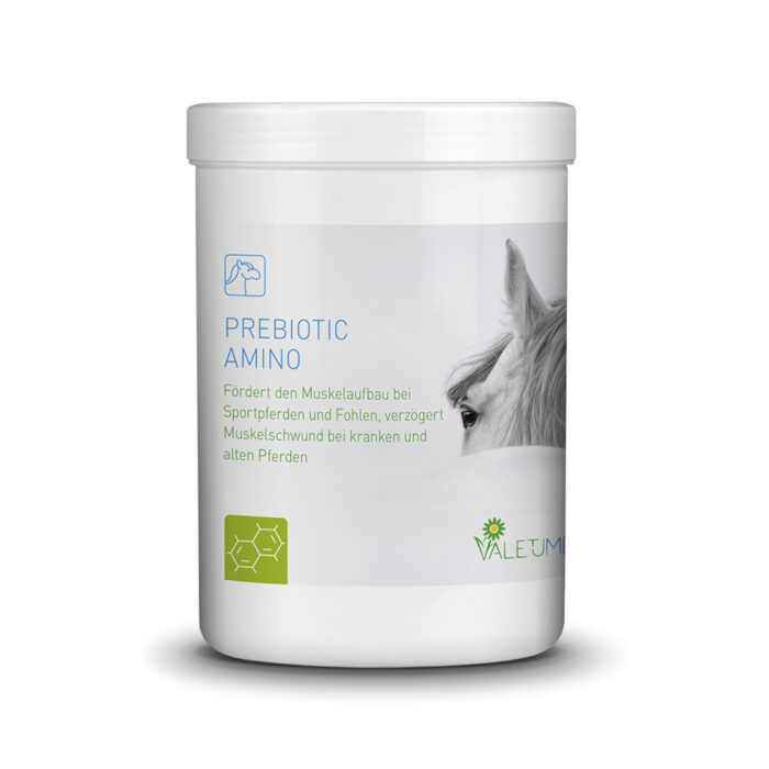 Valetumed Prebiotic Amino - fördert den Muskelaufbau bei Pferden